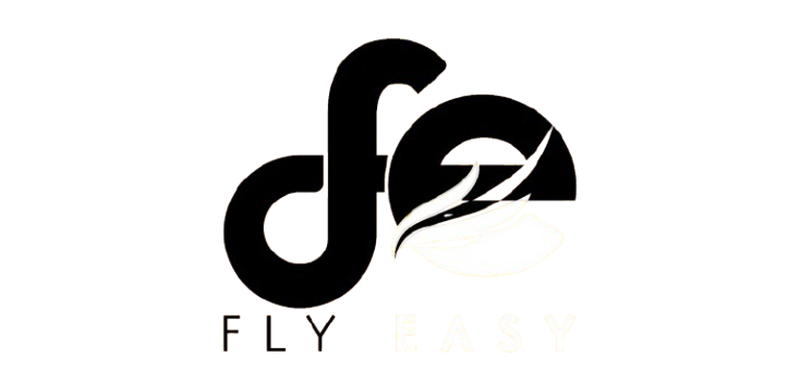 Fly Easy Group